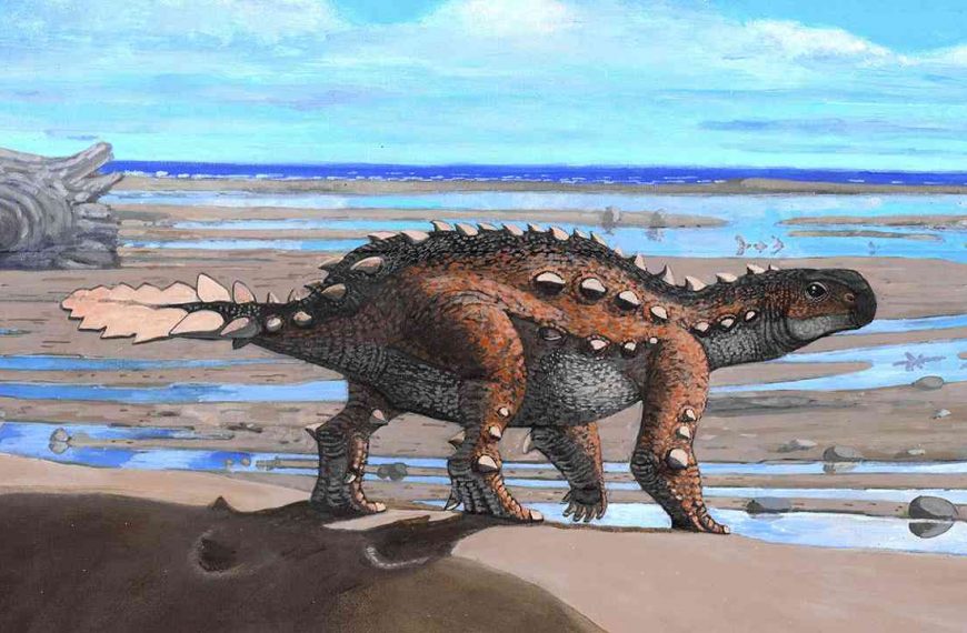 Fossil hunters identify gigantic dinosaur